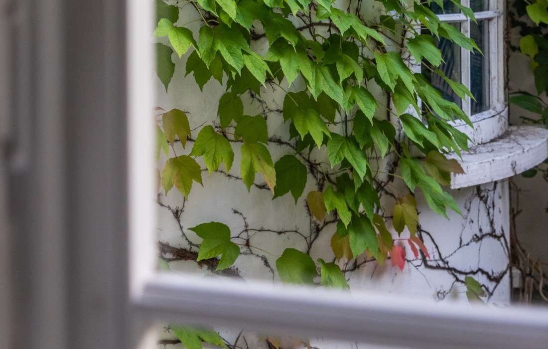 Molenmeers - Boutique Guesthouse